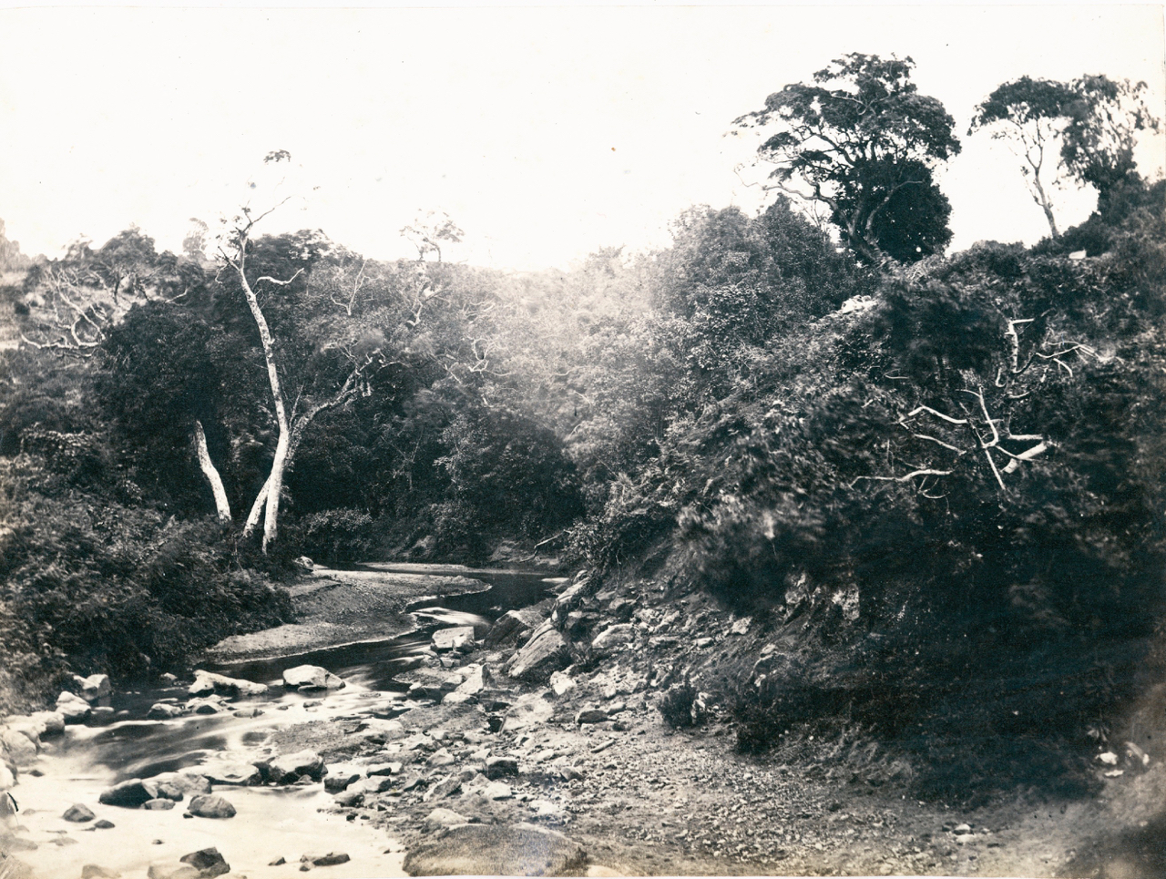 Rivers of Yesteryears