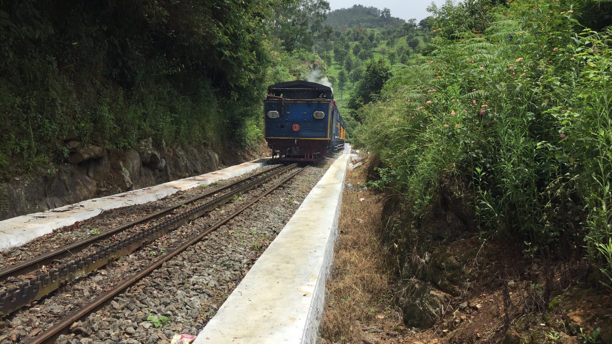 Nilgiri Mountain Railway Turns 125