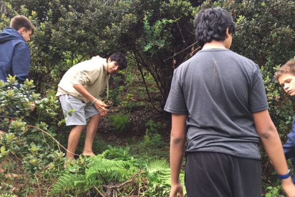 Nature Walks