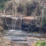 World Water Day 2025