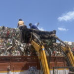 World Environment Day 2025