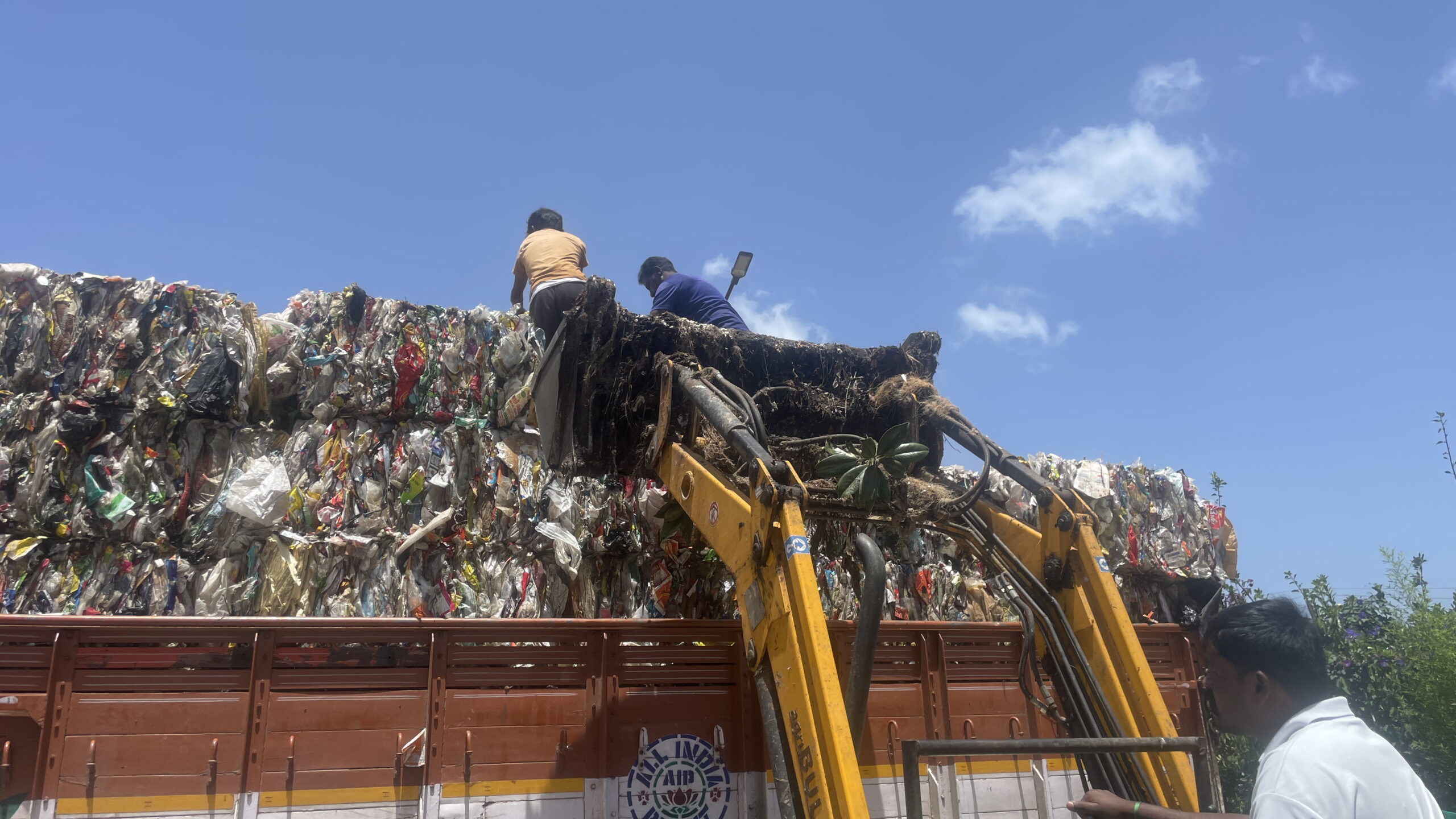 World Environment Day 2025